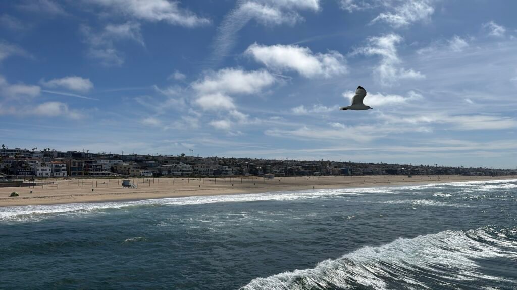 3fb15a3f 499d 4559 9fa1 d4a1f176754a